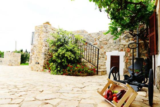 Holiday Home Finca Son Ramon Llubí Екстериор снимка